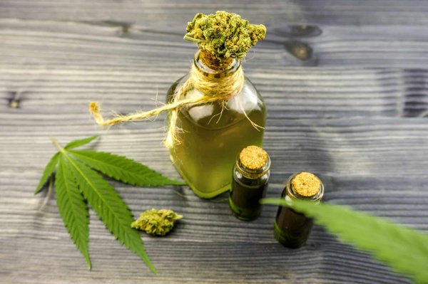 Quels sont les secrets des fleurs de chanvre pour une détente naturelle et un meilleur sommeil ?